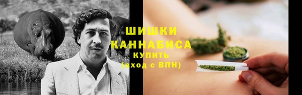 гидра Балахна